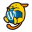 一位WordPress评论者